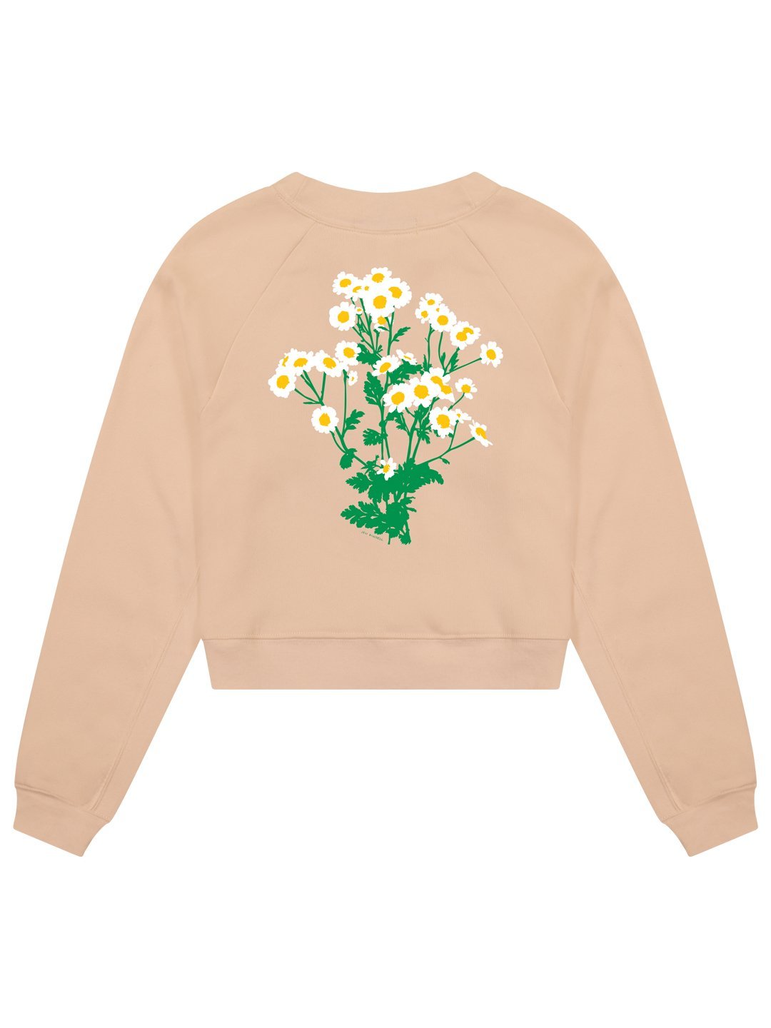 Daisy Women's Cropped Crewneck Sand by Jen Kindell-Culk