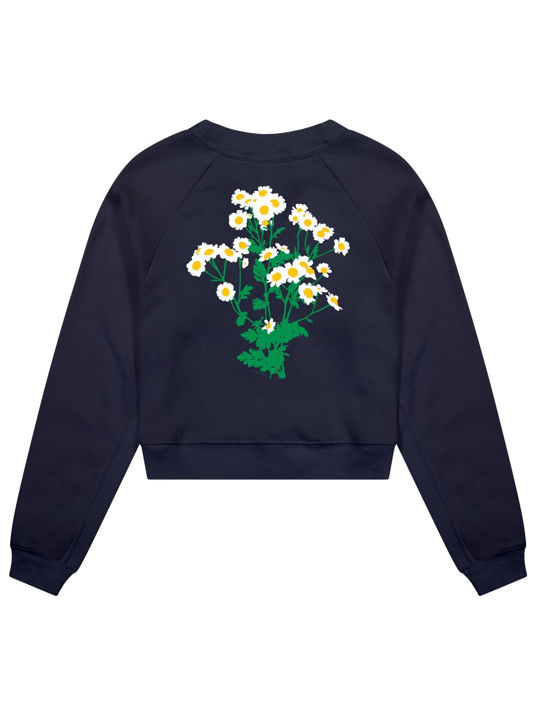 Daisy Women's Cropped Crewneck by Jen Kindell-Culk