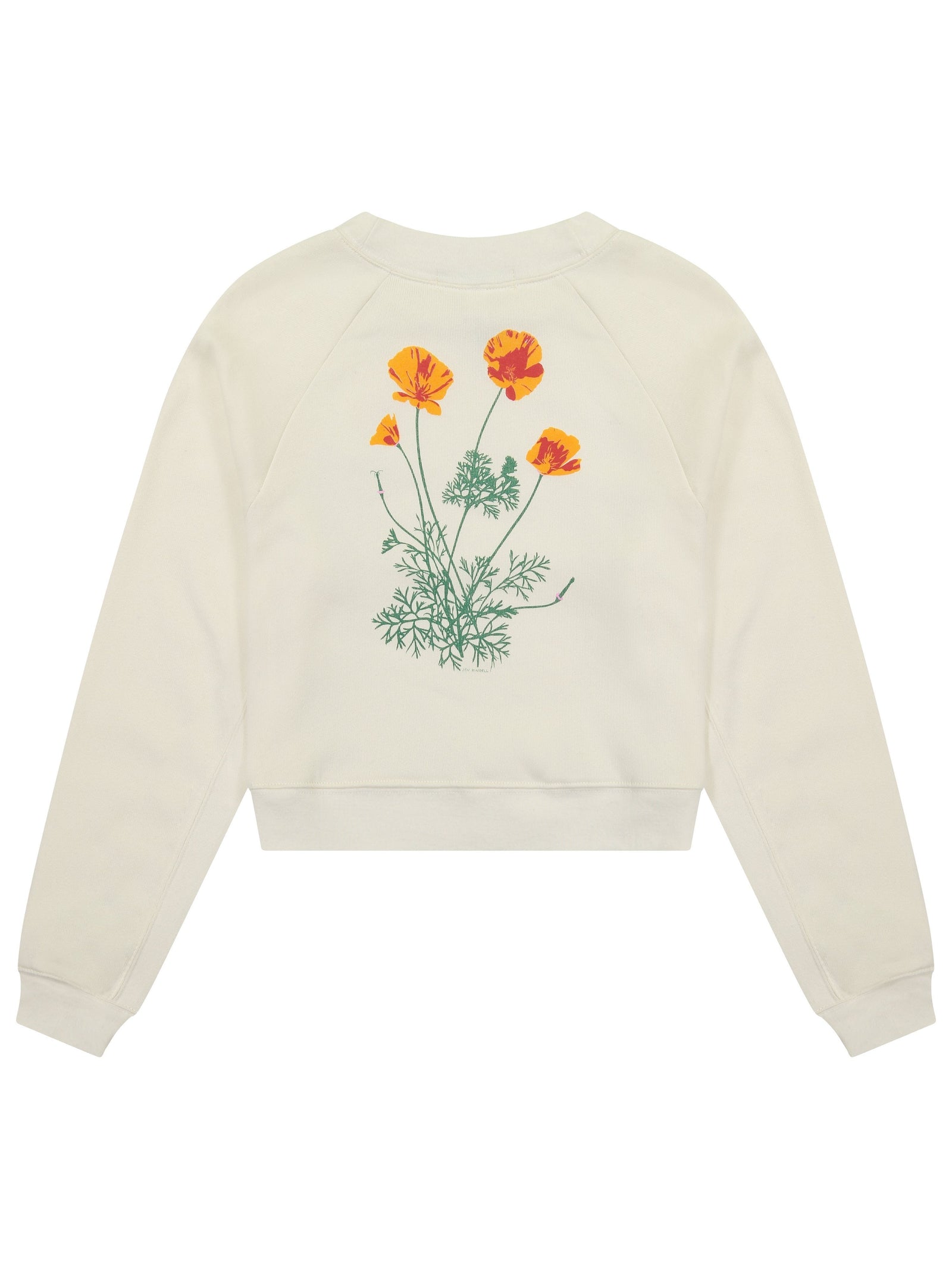 Poppy Women's Cropped Crewneck by Jen Kindell-Culk