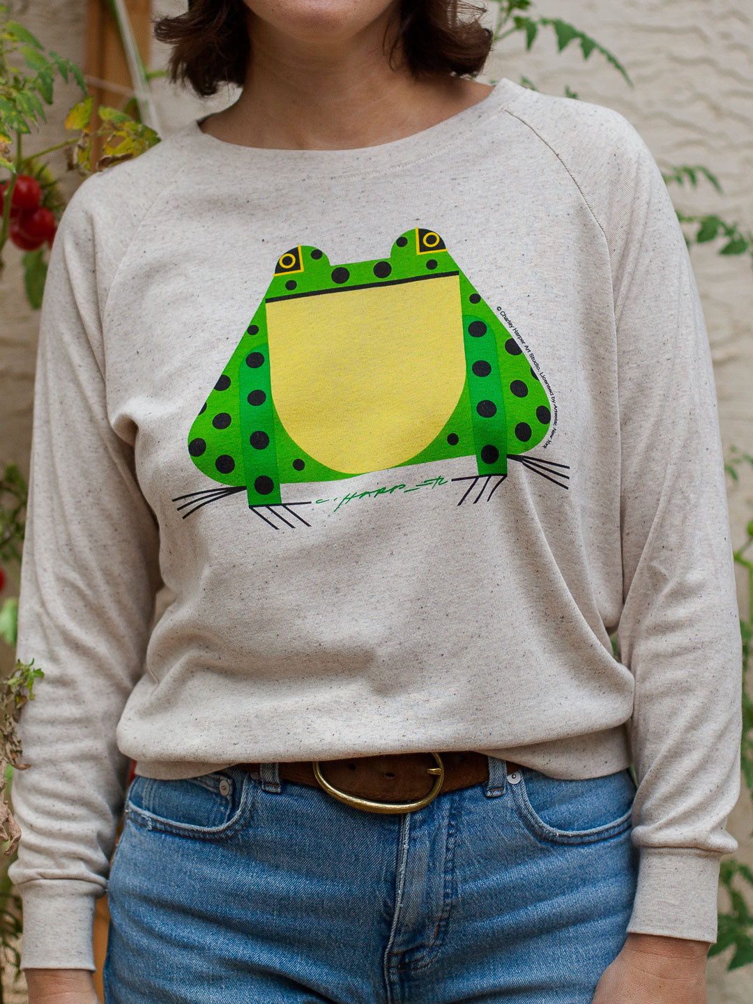Charley Harper Frog Women's Raglan Pullover Oatmeal-Culk