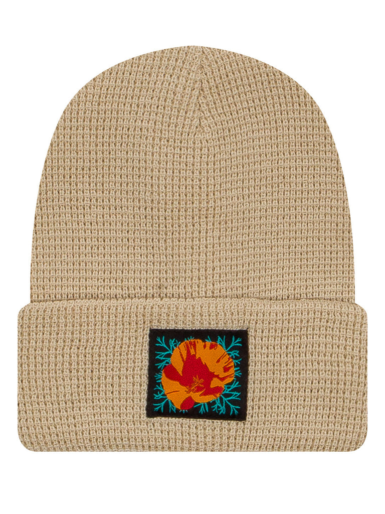 Poppy Beanie Cream by Jen Kindell - Culk