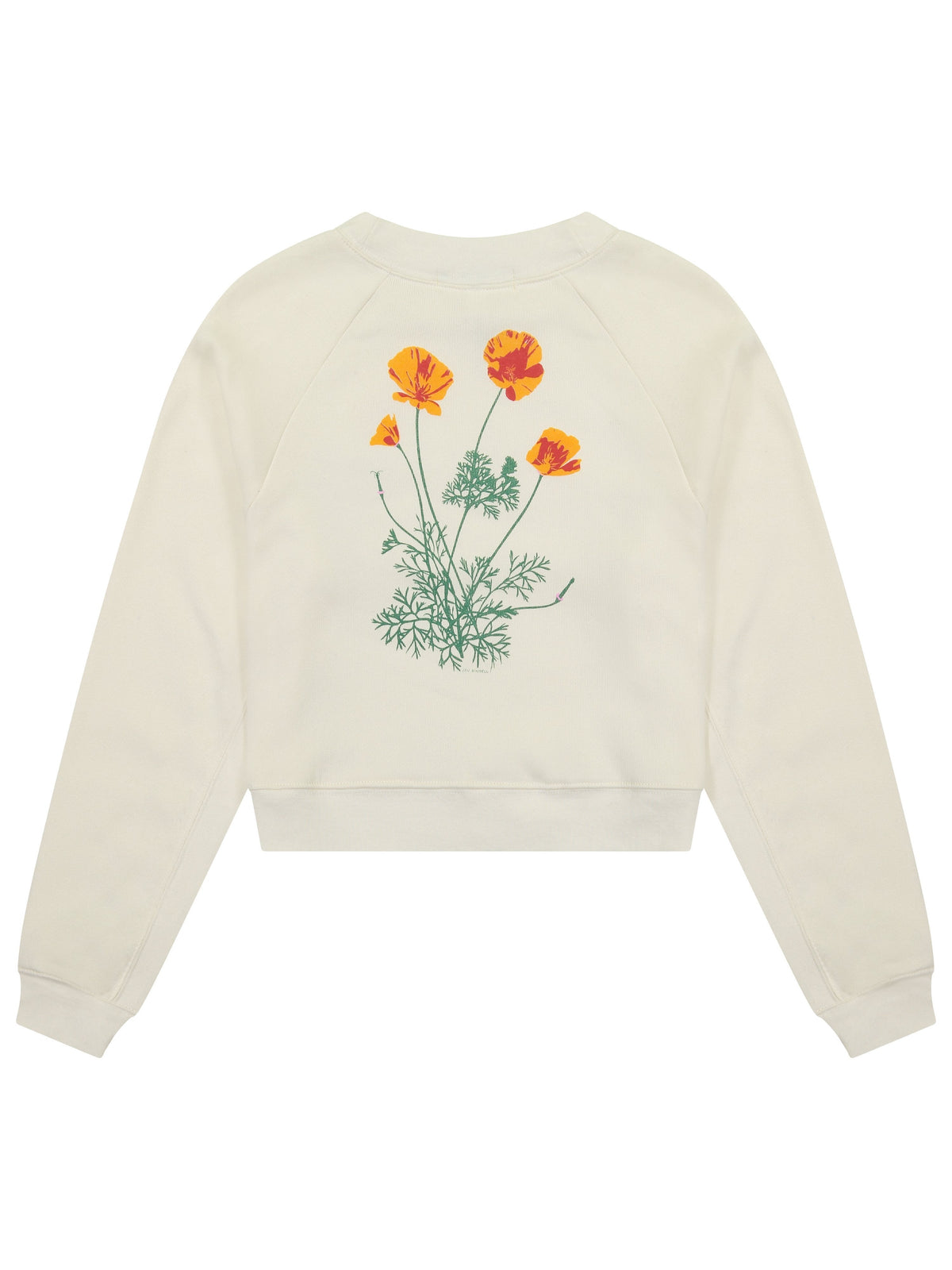 Poppy Women's Cropped Crewneck by Jen Kindell-Culk